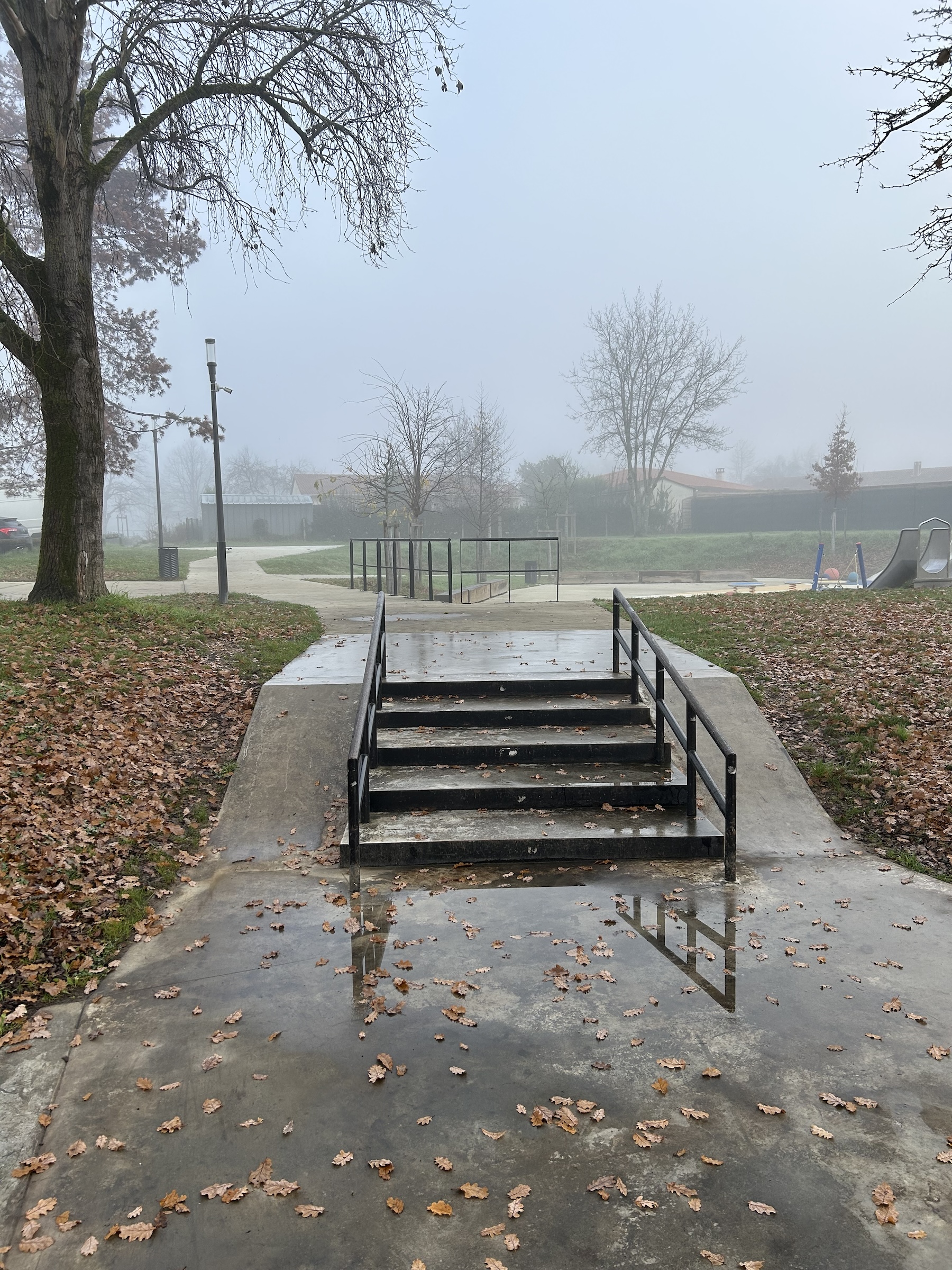 Bassens skatepark